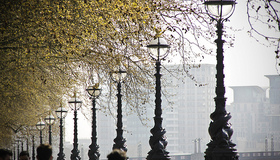 Sunday Charity Walk With a Twist